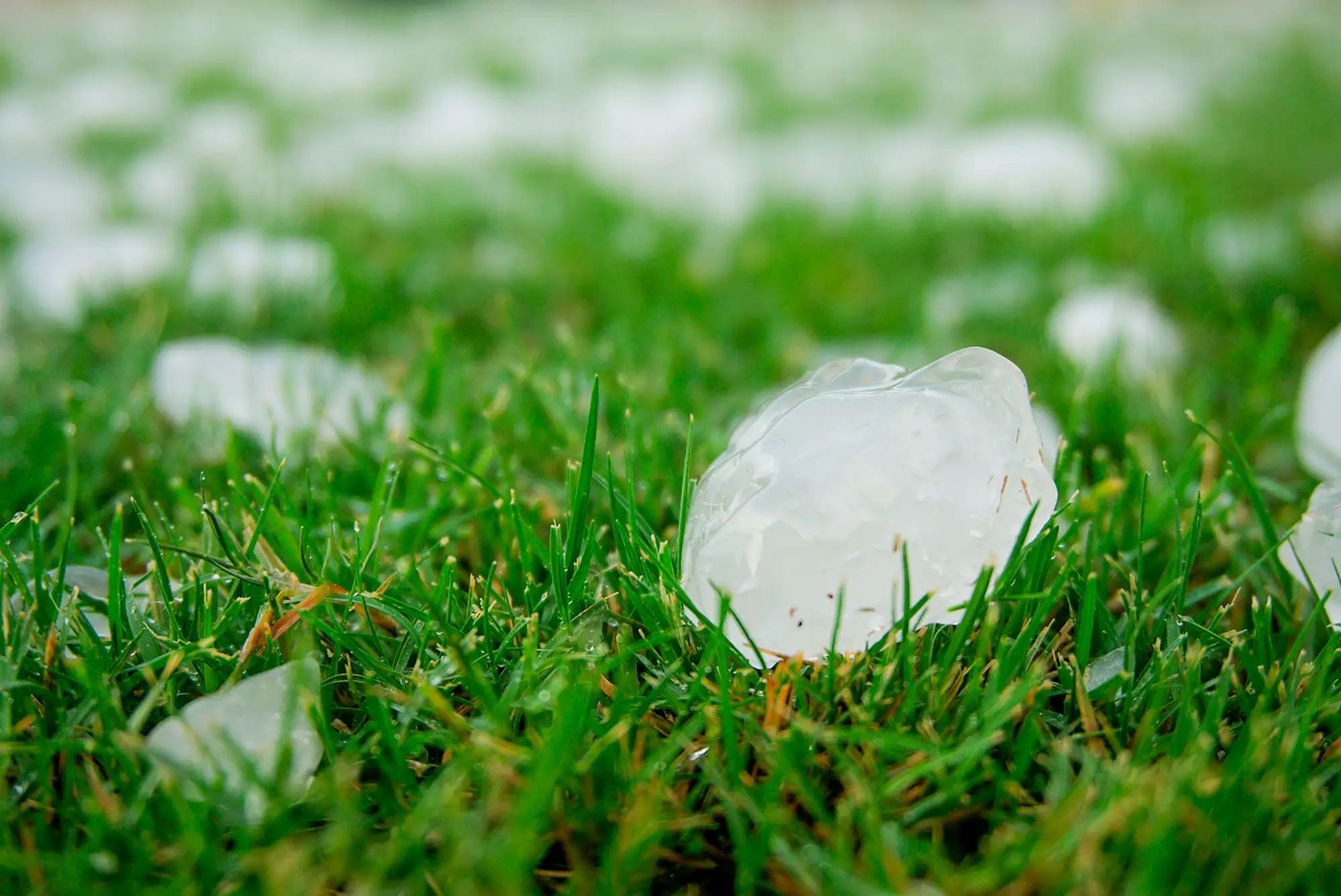 Hagelschäden Krattiger AG Sonnen- und Wetterschutz